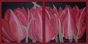 #tulp #tulpen #tulip #tulips #bloemen #flowers #tuin #garden #nederland #dutch #rood #landleven #buitenleven #huisentuin #floara #wonenlandelijkestijl #araacrylverf #royaltalens #winsorandnewton #irmawismn #irmawismanvanrooijen