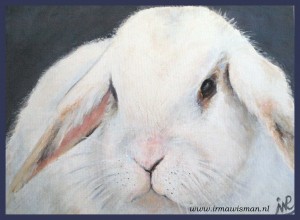 #konijn #rabbit #dieren #animals #fauna #tuin #garden #huisentuin #landleven #buitenleven #muurdecoratie #royaltalens #winsorandnewton #araacrylverf #irmawisman #irmawismanvanrooijen
