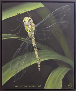 #libel #dragonfly #insekten #insects #dieren #animals #fauna #tuin #garden #huisentuin #landleven #buitenleven #muurdecoratie #royaltalens #araacrylverf #winsorandnewton #irmawisman #irmawismanvanrooijen
